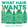 OGX Active Beauty Green Tea Fitness Shampoo, 13 oz